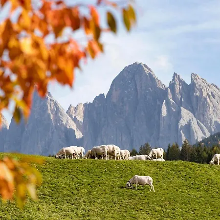 بيت ضيافة Messner فونيس